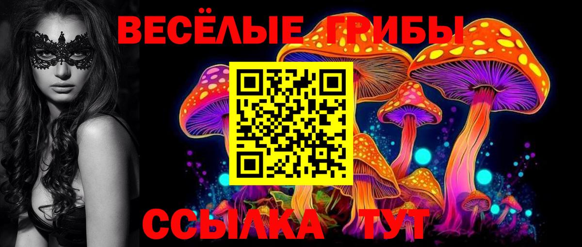 Псилоцибиновые грибы Cubensis  Вход с VPN  Шелехов 